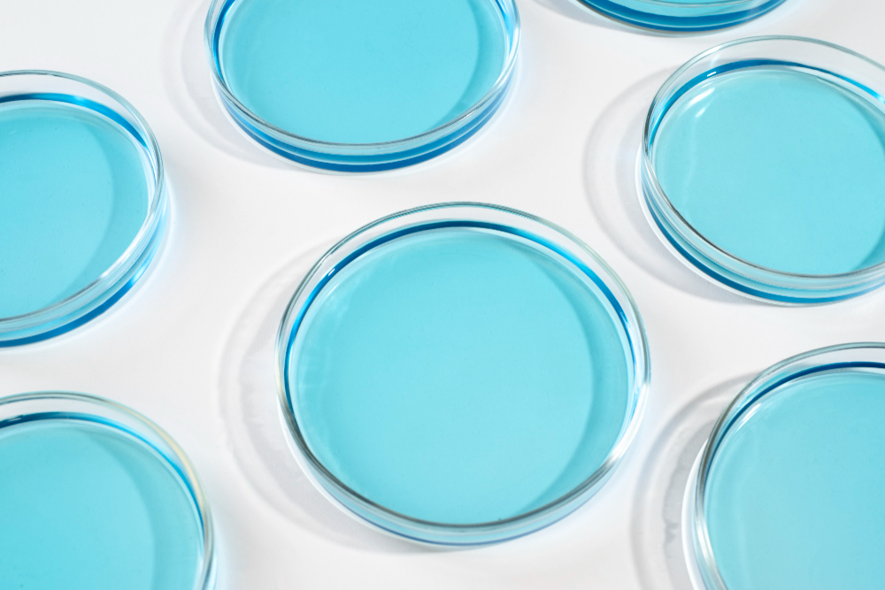 Placas de Petri: essenciais para o sucesso em laboratórios de análises microbiológicas